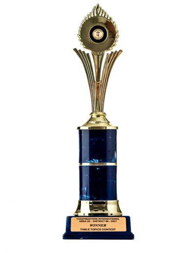 Toastmasters Award   3